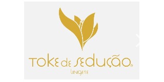 TOKE de SEDUÇÃO | Lingerie